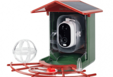 living-with-the-detiko-smart-bird-feeder