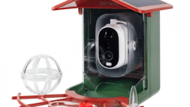 living-with-the-detiko-smart-bird-feeder